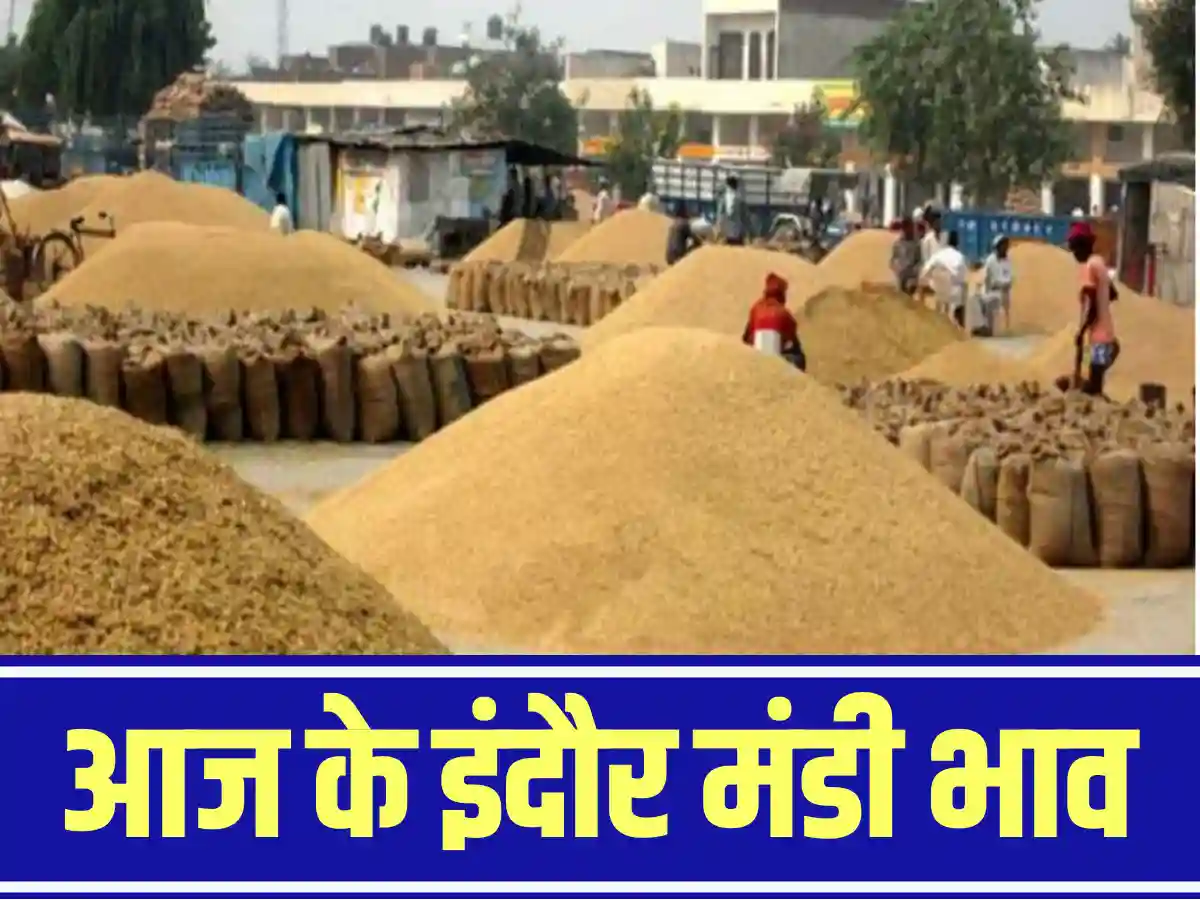 Indore Mandi Bhav 2025: इस दिन से बड़ेंगे सभी फसलों के रेट,सम्पूर्ण जानकारी